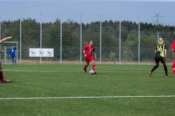 Bild 269 - Oberliga Saisonstart